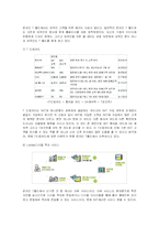 [마케팅] SK텔레콤의 T월드(T-WORLD) 마케팅전략 성공사례-13