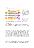 [마케팅] KTF SHOW의 SWOT분석과 마케팅전략-20