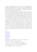 [마케팅] 옥션(AUCTION)의 마케팅전략 성공사례-20