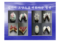 [중국의 명절과 기념일] 중국의 명절에 대해-15