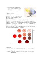 [패션칼라의 이해(Fashion Color)] 패션칼라의 이해(Fashion Color)-4