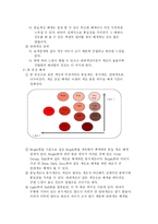 [패션칼라의 이해(Fashion Color)] 패션칼라의 이해(Fashion Color)-14