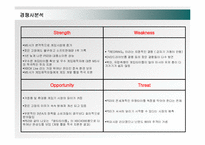 [마케팅] 소니 PSP의 국내시장진출 마케팅전략-12