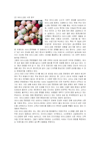 [마케팅] 배스킨라빈스의 마케팅전략 성공사례-3