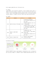 [마케팅] 레드망고의 마케팅전략과 성공, 실패요인분석-2