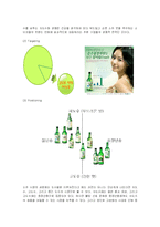 [마케팅] 진로 참이슬Fresh의 마케팅전략 성공사례-12