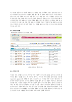 [히트상품,마케팅분석,특허] 히트상품 조사분석-5