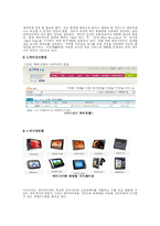 [히트상품,마케팅분석,특허] 히트상품 조사분석-12