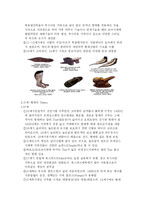 [슈즈(shoes)의 모든것] 슈즈(shoes)의 모든것-3