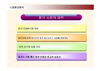 [마케팅] 삼성전자 애니콜의 중국시장진출 마케팅전략-5