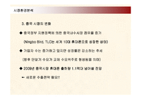 [마케팅] 삼성전자 애니콜의 중국시장진출 마케팅전략-8