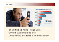[마케팅] 삼성전자 애니콜의 중국시장진출 마케팅전략-13