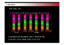 [마케팅] 저가화장품 미샤의 마케팅전략 성공사례-9