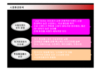 [마케팅] 저가화장품 미샤의 마케팅전략 성공사례-10