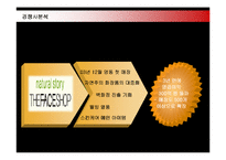 [마케팅] 저가화장품 미샤의 마케팅전략 성공사례-12