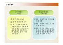 [마케팅] LG전자 휘센(WHISEN)의 마케팅전략 성공사례-12
