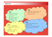 [마케팅] 외식프랜차이즈 비비큐(BBQ)의 마케팅과 전략제안-11