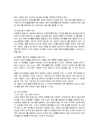 [마케팅] 아웃백(OUTBACK)의 마케팅전략 성공사례-13