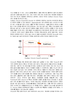 [마케팅] 아웃백(OUTBACK)의 마케팅전략 성공사례-18