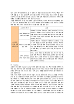 [마케팅] 삼성전자 애니콜의 마케팅전략 성공사례-12
