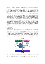 [마케팅] 삼성전자 애니콜의 마케팅전략 성공사례-13