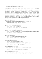 [현대교육이론] 다중지능이론-6