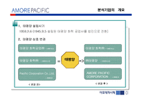 [기업분석] 아모레 퍼시픽 경영분석-3