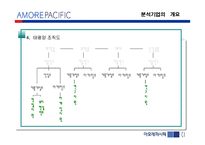 [기업분석] 아모레 퍼시픽 경영분석-5