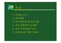 [국제무역] 브라질 투자분석-2