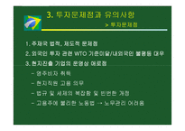 [국제무역] 브라질 투자분석-19
