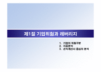 제8장 레버리지 분석-4