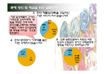 [마케팅] `STCO`의 고객창출방안-14
