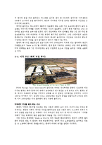 [경영학] 현대자동차의 대미 수출 역사와 마케팅 전략 분석-9