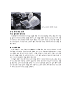 [경영학] 현대자동차의 대미 수출 역사와 마케팅 전략 분석-13