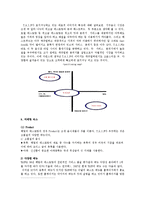 [국제전략경영] 글로벌 마케팅 TGIF 믹스 사례-15