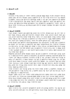 레인콤 아이리버 마케팅전략-5