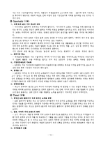 레인콤 아이리버 마케팅전략-20