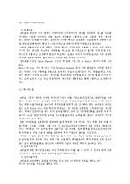 [국제무역] 브라질 투자분석-2