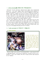 [브랜드관리] 롤리타 렘피카 브랜드관리 성공사례-3