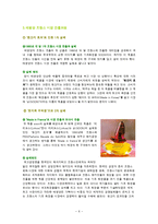 [브랜드관리] 롤리타 렘피카 브랜드관리 성공사례-6