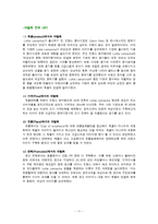 [브랜드관리] 롤리타 렘피카 브랜드관리 성공사례-11