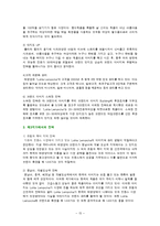 [브랜드관리] 롤리타 렘피카 브랜드관리 성공사례-15
