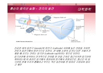 [화학] 10장 현대 원자론 및 주기율표-3