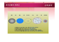 [화학] 10장 현대 원자론 및 주기율표-7