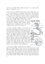 [전쟁과 정치] 중동과 팔레스타인 분쟁 및 이라크 전쟁-19