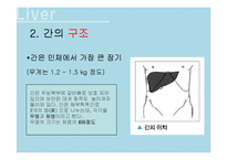 [현대인의 식생활] 간-4