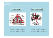 [현대인의 식생활] 간-5