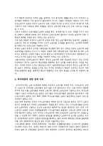 [김대중정부] 김대중정부의 노동시장정책분석과 김대중정부의 노동시장정책 평가 고찰-6
