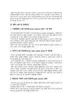 [노동시장] 노동시장 고찰과 노동시장양극화에 따른 향후 노동시장의 정책대안 분석-13