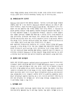 [전자민주주의] 인터넷의 등장에 따른 전자민주주의의 찬성과 전자민주주의의 반대 입장-3